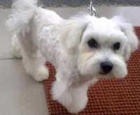 /album/klbka/images-4-jpg/